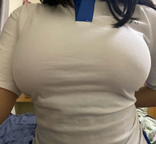 奶牛1